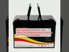 High Capacity LiFePO4 36V 50Ah Lithium Iron Phosphate Battery Module with 51.2V Nominal Voltage