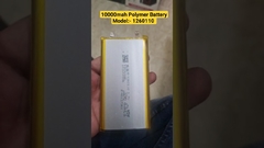 #10000mah Polymer Battery 