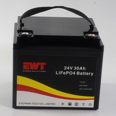 Buy Lifepo4 Portable Battery Pack 24V 30AH With Bluetooth Can online manufacture