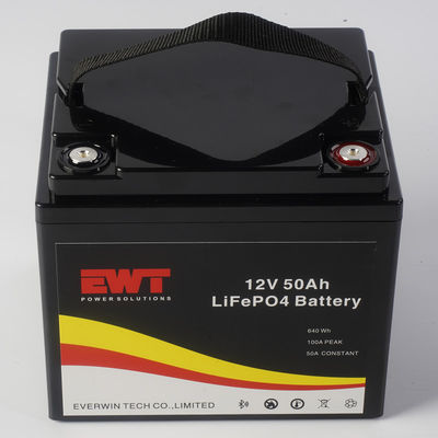 Buy ABS Case LiFePO4 12V 50Ah Lithium Iron Phosphate Battery Module for Industrial Applications online manufacture