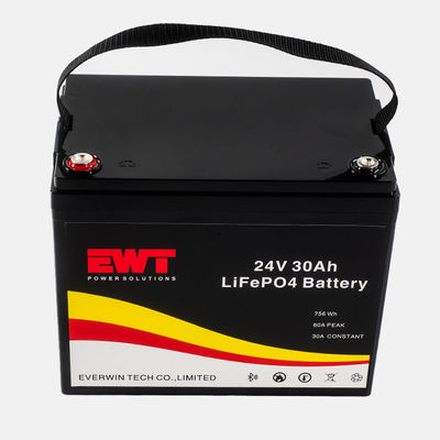 Buy Long-lasting LFP 24V Battery with High Energy Density and 2000 Cycles Cycle Life online manufacture