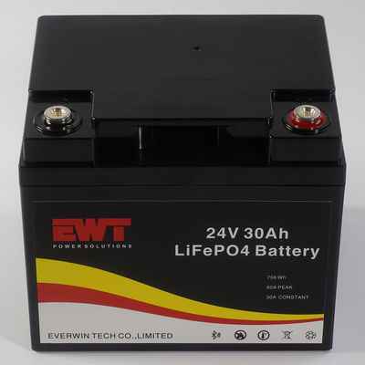 Lithium Iron Phosphate 24V LiFePO4 Battery Superior Power for Any Climate and Temperature