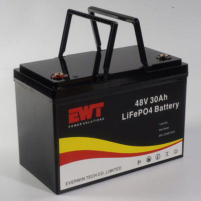 Customized LifePo4 Batteries 48V 30ah 1000w For Ebike Battery Pack