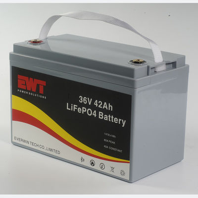 Plastic Casing Lifepo4 Battery Pack 36V 42AH for Outdoor BBQ Energy Storage Power Supply