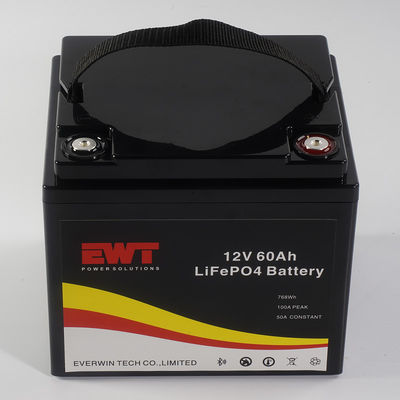 Customized Logo 12V 60AH LiFePo4 Battery Storage Box Metal Case For LED Light 4000 Working Cycles