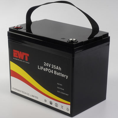 Built-in BMS 24V Lithium Iron Phosphate Battery with 3C Discharging Rate and 20A Maximum Charging Current
